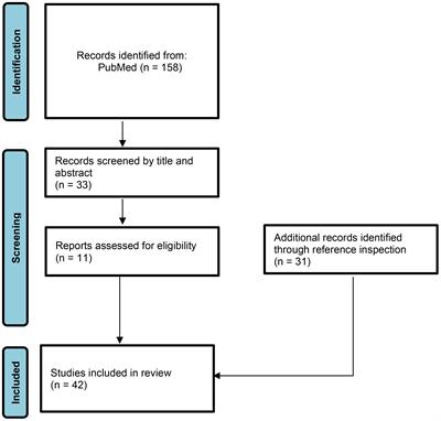 The relationship between infectious agents and juvenile dermatomyositis: a narrative update from the pediatric perspective